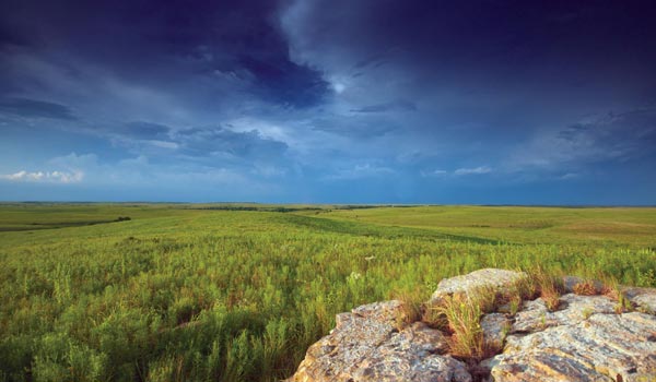 Grasslands Image